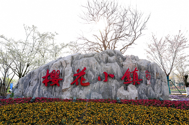 樱花小镇.jpg